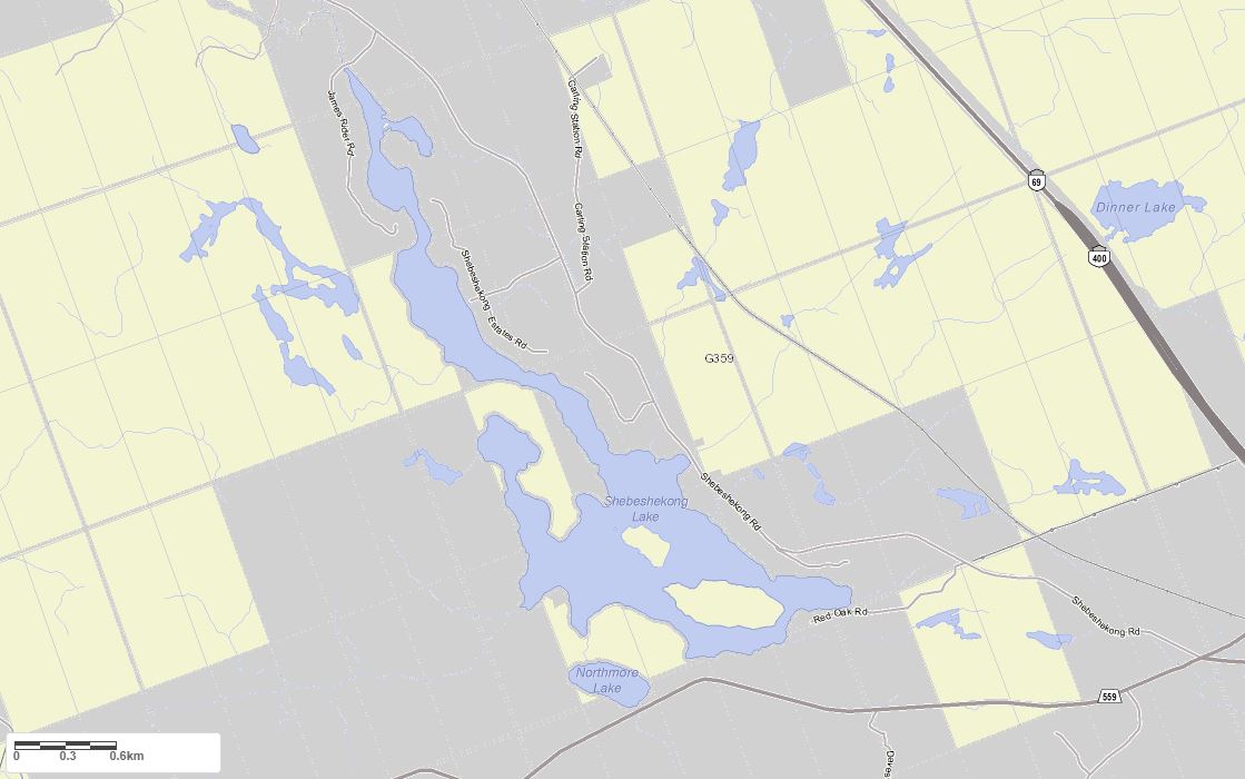 Crown Land Map of Shebeshekong Lake in Municipality of Carling and the District of Parry Sound